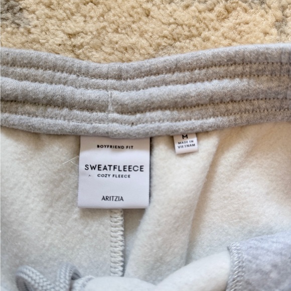 Aritzia Cozy Sweatfleece Boyfriend Barrel Sweatpant - Picture 3 of 7